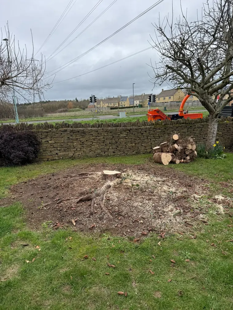 Same garden after the conifer was removed, with the logs stacked against the stone wall